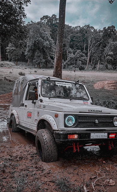 队回归争冠 队回归争冠