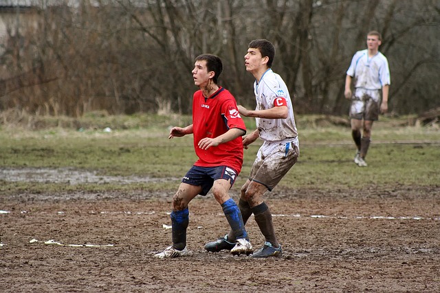 情感问题 情感问题