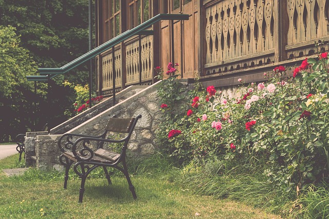 局势的良机 局势的良机