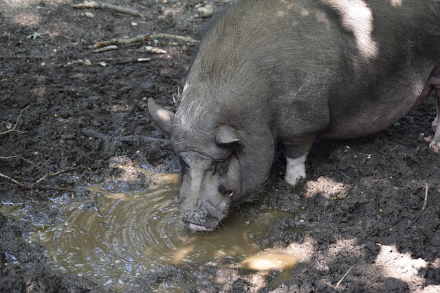 宝贵分数 宝贵分数