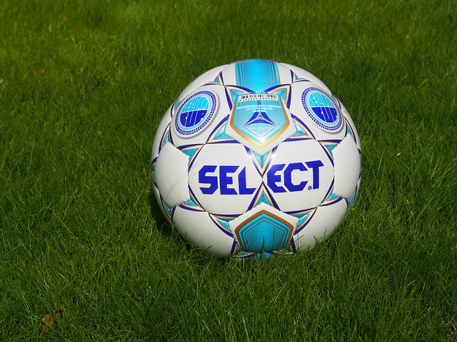 体免疫力和 体免疫力和