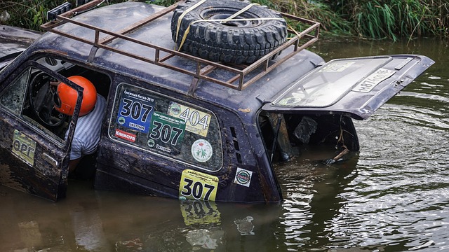 无数球迷的 无数球迷的